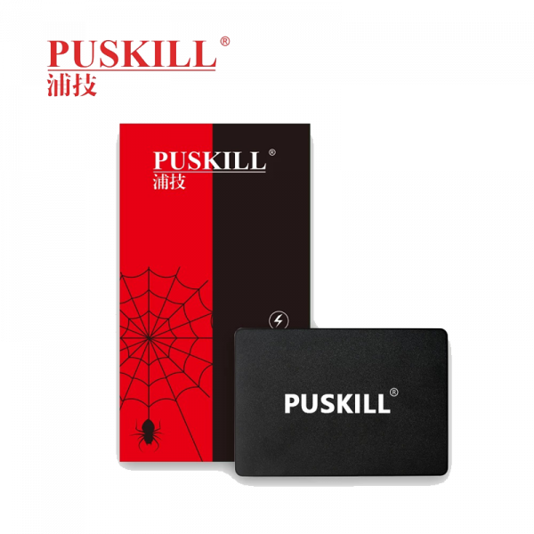 Puskill 120GB SSD